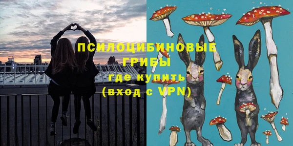 шишки Абаза