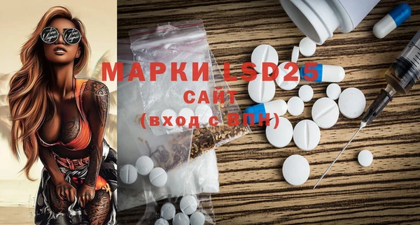 шишки Абаза