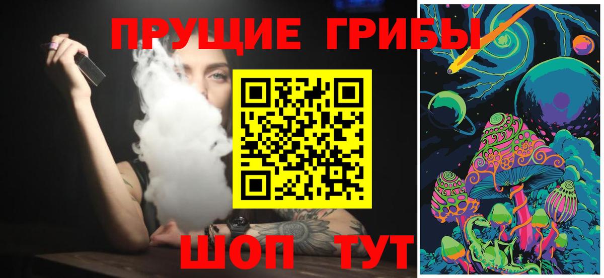 Псилоцибиновые грибы Cubensis Юрга